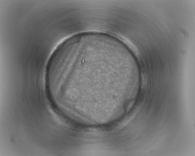 X0000115410580200911241330