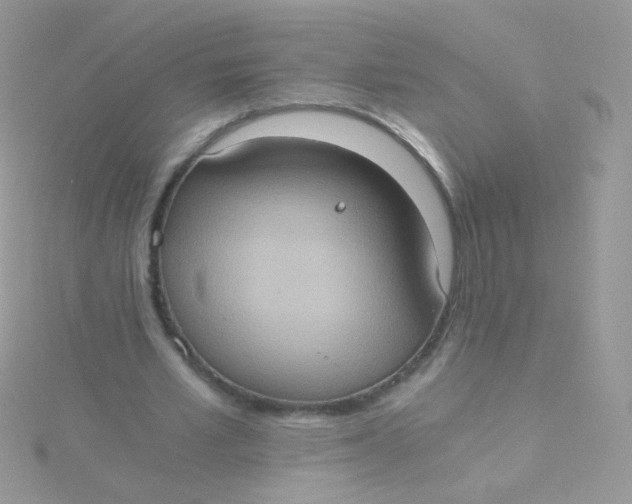 X0000115410581200911241330