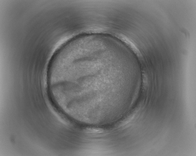 X0000115410582200911241329