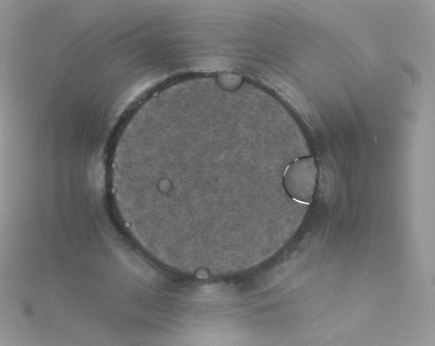 X0000115410584200911241329