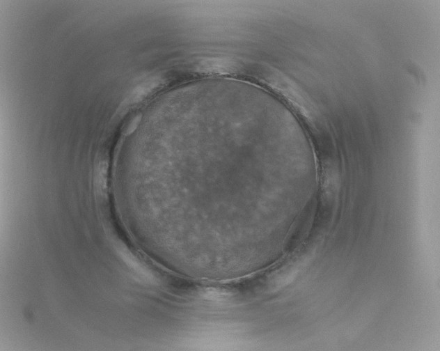 X0000115410585200911241329