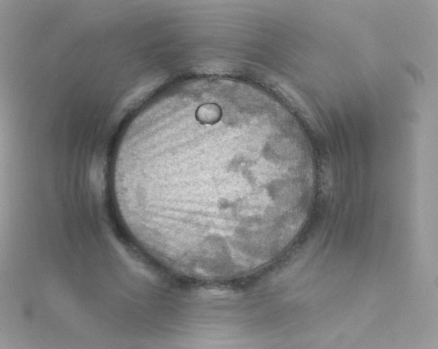 X0000115410586200911241329