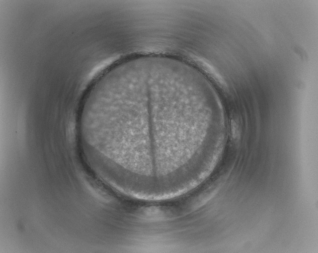 X0000115410588200911241329