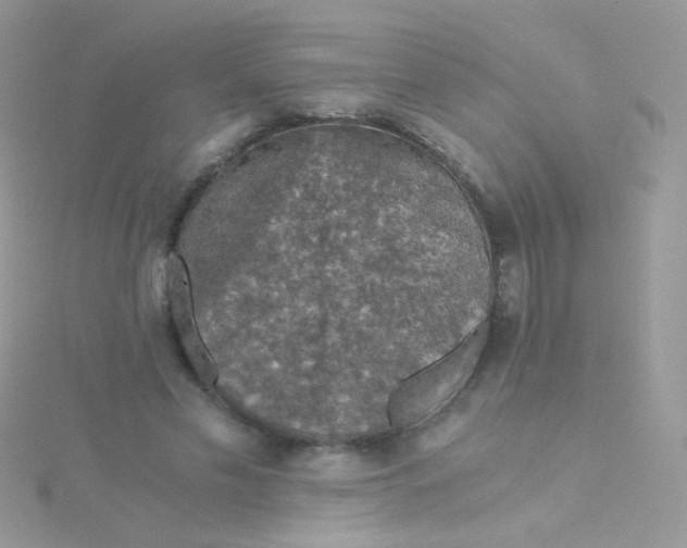 X0000115410589200911241329