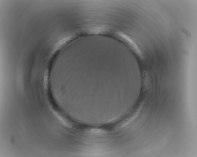 X0000115410590200911241329