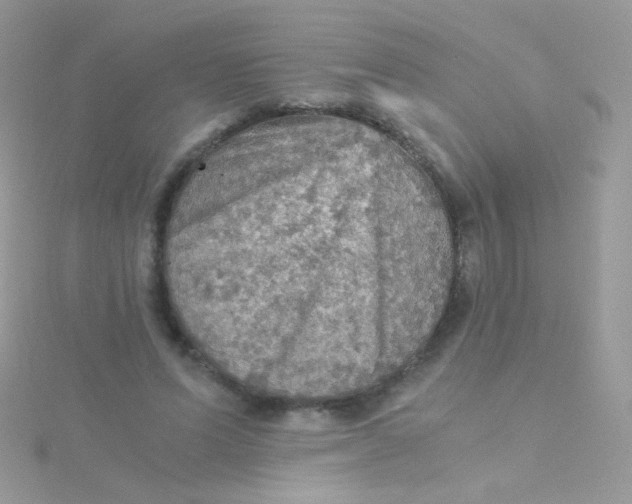 X0000115410591200911241329