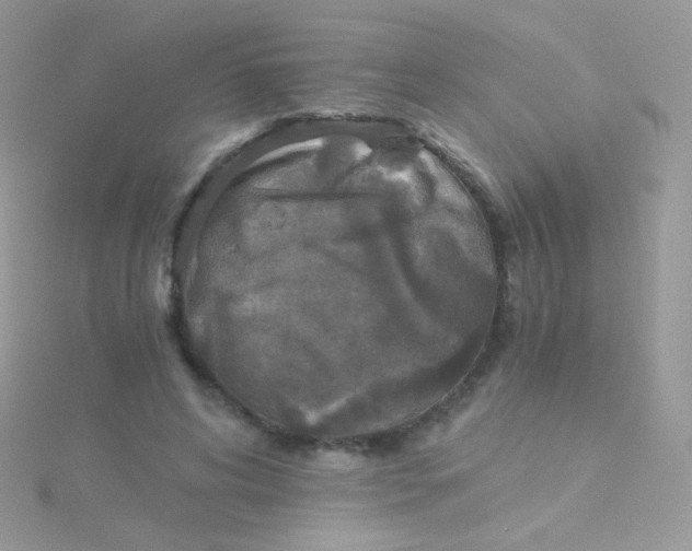 X0000115410592200911241329