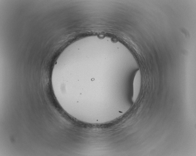 X0000115410593200911241329