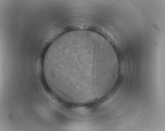 X0000115410594200911241329