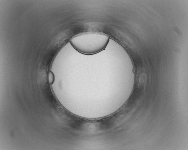 X0000115410595200911241329