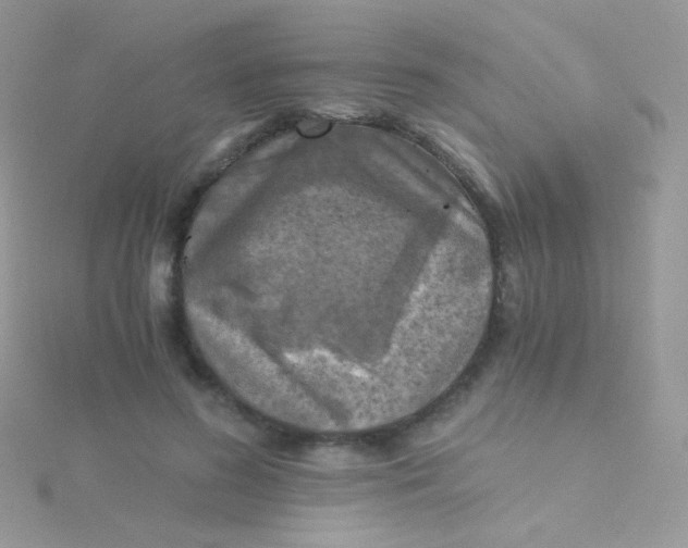 X0000115410596200911241329