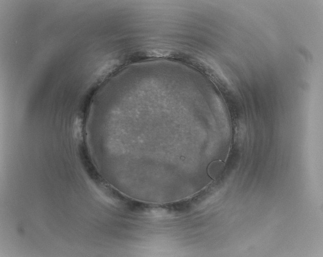 X0000115410598200911241329