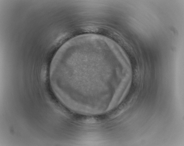 X0000115410600200911241329