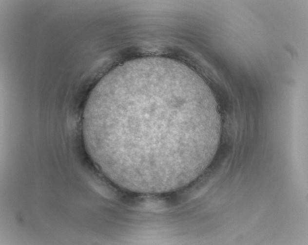 X0000115410601200911241329