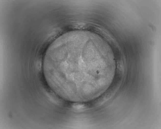 X0000115410602200911241329