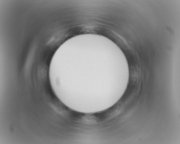 X0000115410603200911241329