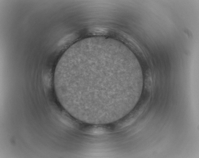 X0000115410604200911241329