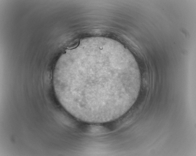 X0000115410605200911241329