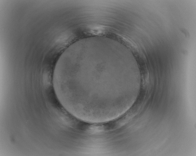 X0000115410606200911241329