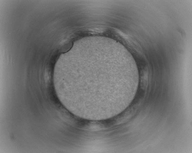 X0000115410608200911241329