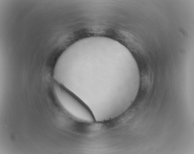 X0000115410609200911241329