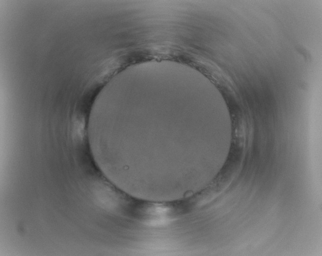 X0000115410610200911241329