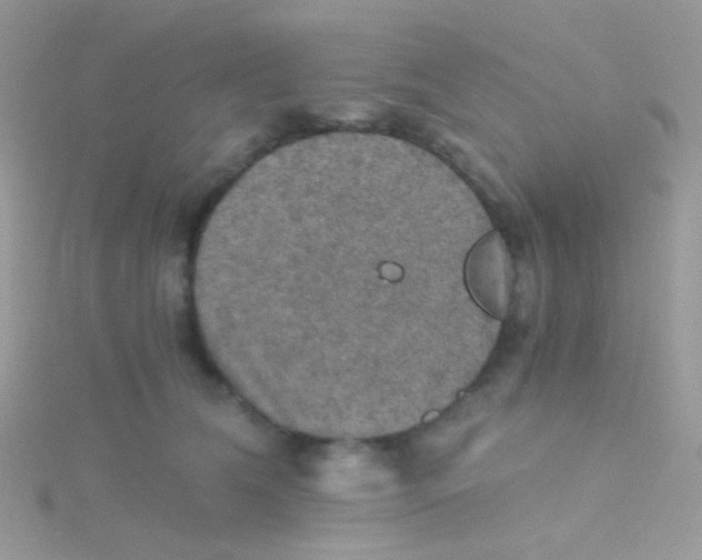 X0000115410612200911241329