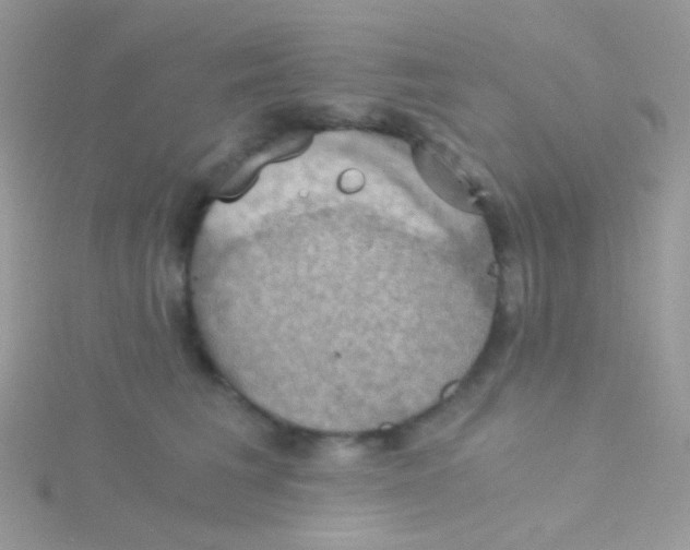 X0000115410613200911241329