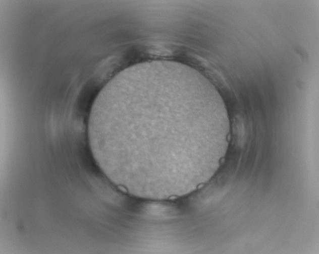 X0000115410614200911241329