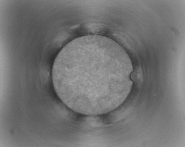 X0000115410615200911241329