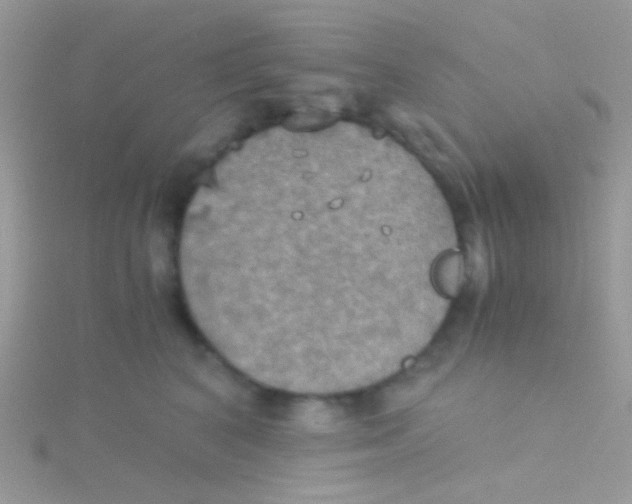 X0000115410616200911241329