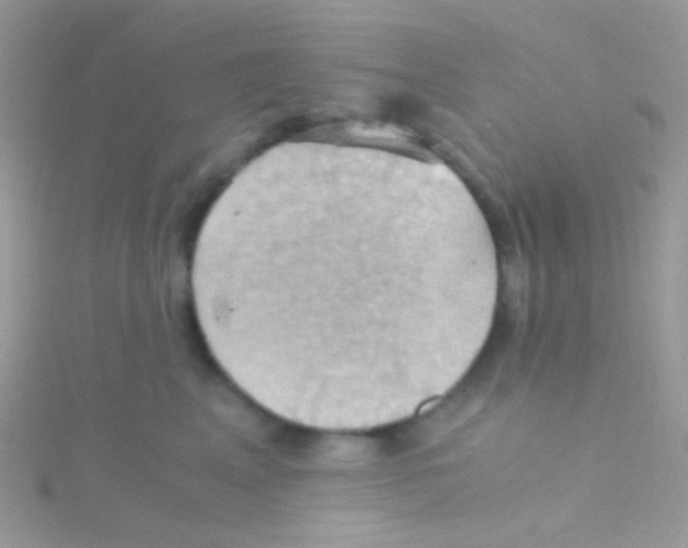 X0000115410617200911241329