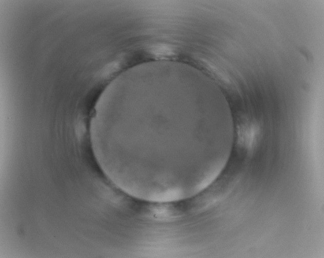 X0000115410618200911241329