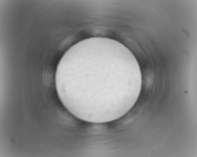 X0000115410619200911241329