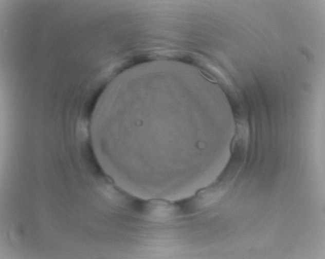 X0000115410621200911241329