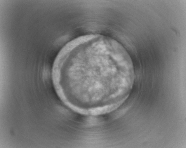 X0000115410623200911241329