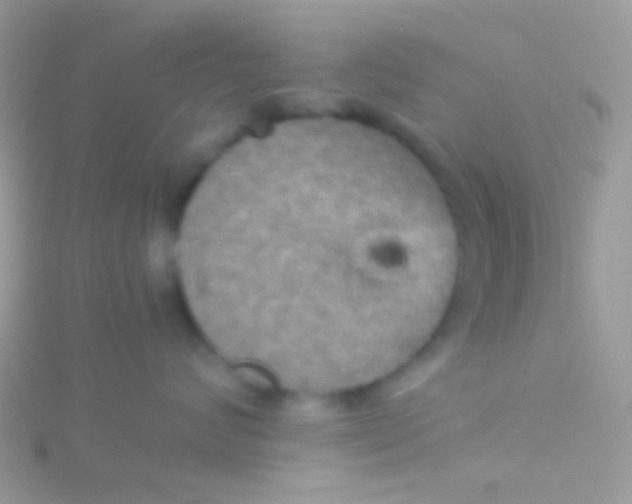 X0000115410624200911241329