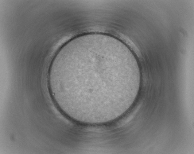 X0000115410625200911241328