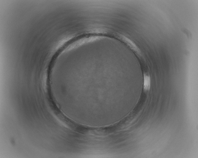 X0000115410627200911241328