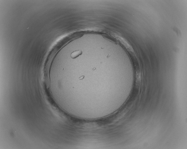 X0000115410628200911241328