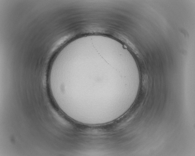 X0000115410629200911241328