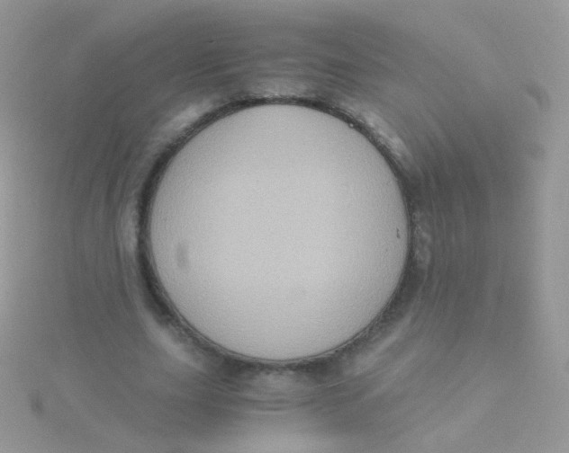 X0000115410631200911241328