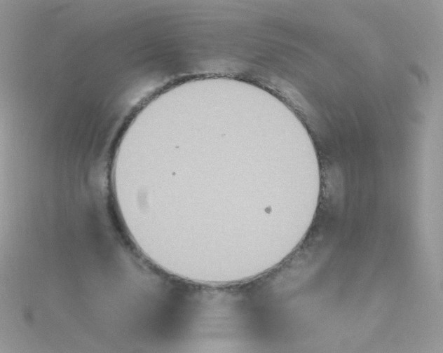 X0000115410632200911241328