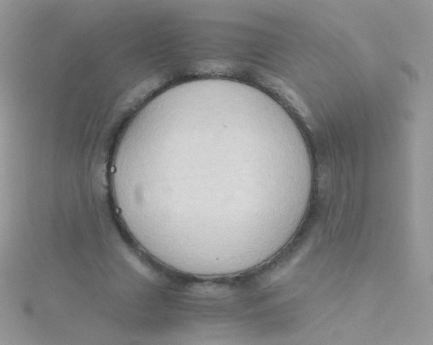 X0000115410633200911241328