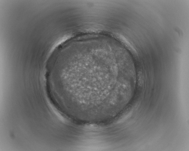 X0000115410634200911241328