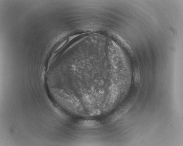 X0000115410637200911241328