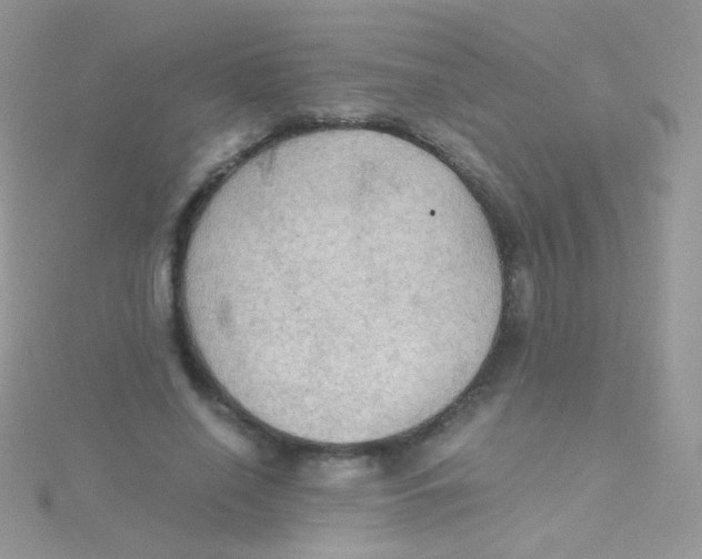 X0000115410638200911241329