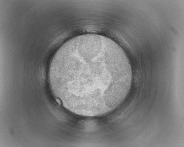 X0000115410639200911241329