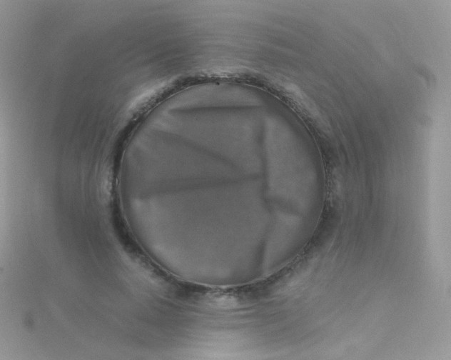 X0000115410640200911241329