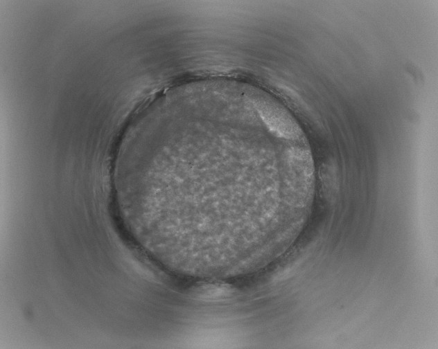 X0000115410642200911241329